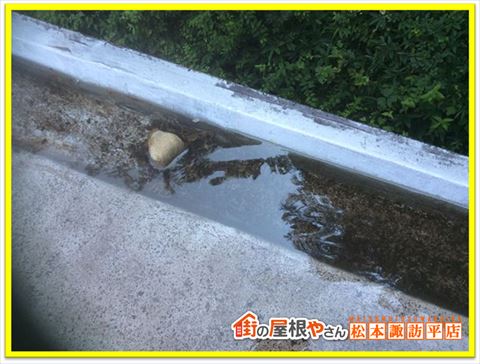 諏訪市陸屋根現地調査　水がたまった屋上